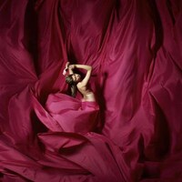 Satin-Shrouded Nudetography Image 5