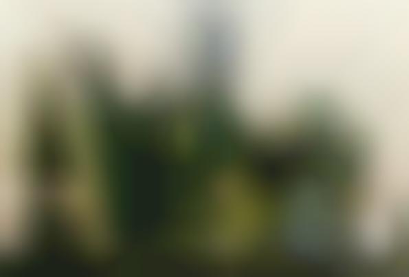 Water-Purifying Skyscrapers