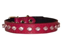 Ritzy Pet Collars Image 5