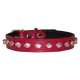 Ritzy Pet Collars Image 5