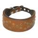 Ritzy Pet Collars Image 8