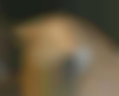 Photographic Pet Face Detection