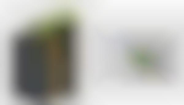 Grassy Placeholders