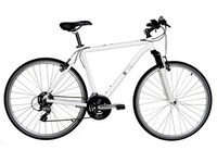 Global Bike Tracking Image 2