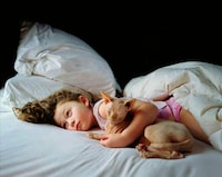 Peculiar Pet Photography Image 2