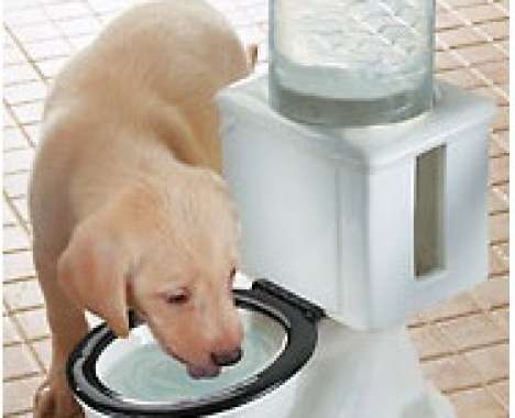 15 Bodacious Pet Bowls