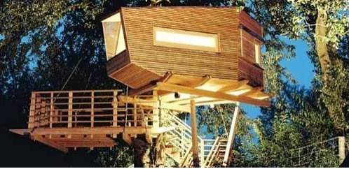 Living in a Treehouse