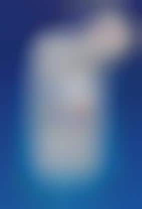 Your Mobile Phone as Talking Translator