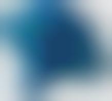 Avian Air Filters