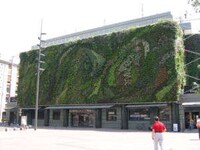 Vertical Gardens