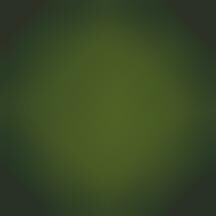 The Virtual Insanity Machine