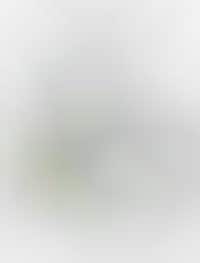 Customizable Automatic Shifting Bike Image 1