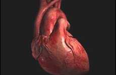 First Successful "Beating Heart" Operation