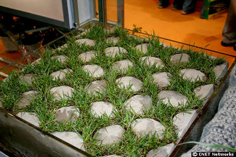 Grass Concrete
