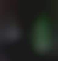 Neon Glowing Plants