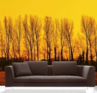 Giant Pictures as Awe-Inspiring Murals Image 3