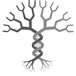 DNA Genealogy Service