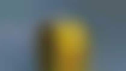 World's 1st Self-Sustaining Underwater Habitat