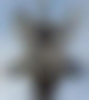 Camera Cloaked Cities