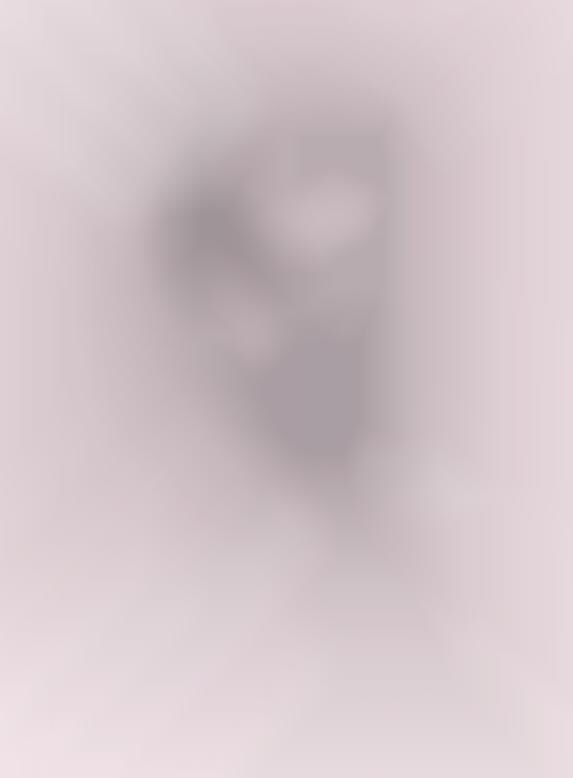 Sketched Supermodels