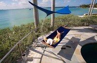 Pseudo Sun Parasols Image 5