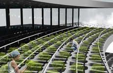 Futuristic City Farms