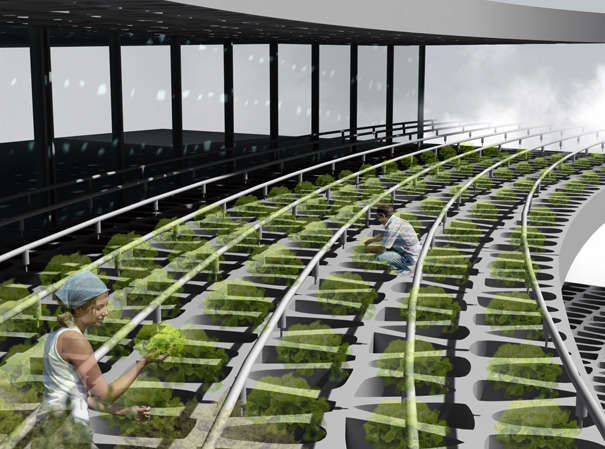 Futuristic City Farms