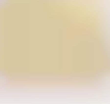 Fish Scale PC Covers