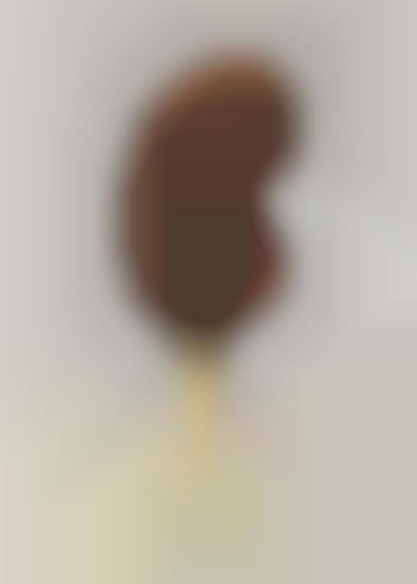 Kidney Popsicles