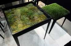 Moss-Covered Furniture