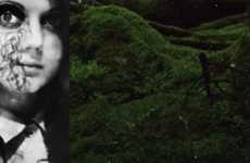 Nightmarish Fairytale Shoots