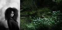 Nightmarish Fairytale Shoots Image 2