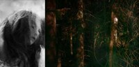 Nightmarish Fairytale Shoots Image 4