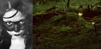 Nightmarish Fairytale Shoots Image 5
