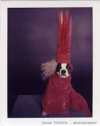Puppy Pop Stars Image 2