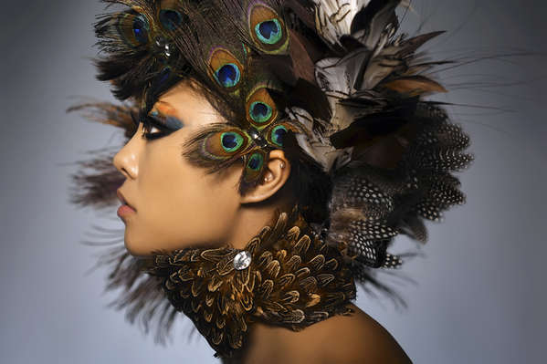 Feathered Makeup