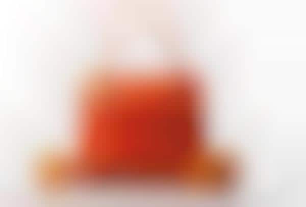 Citrus Handbags