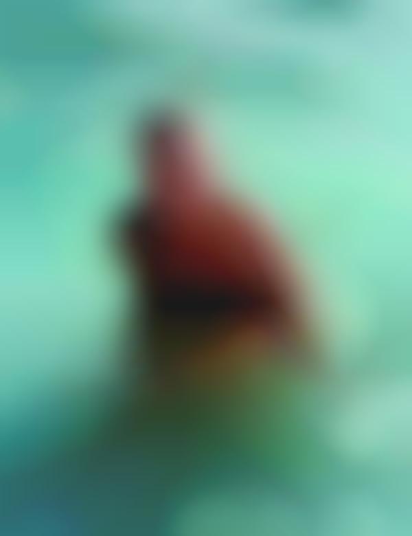 Bare Beach Photography