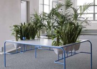Tree-Topped Tables