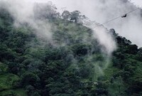 Zipline School Commutes Image 4