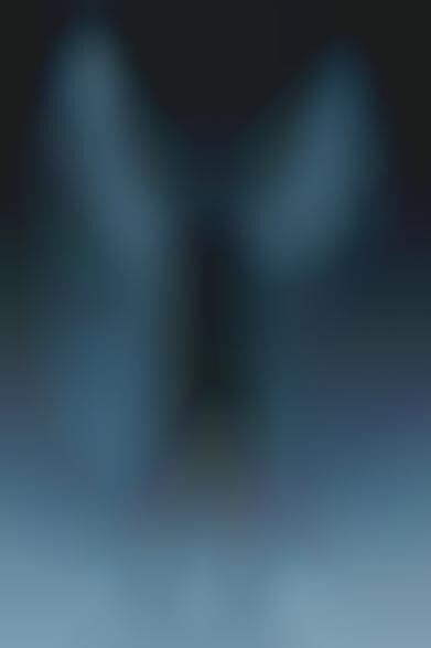 Angelic Surrealtography