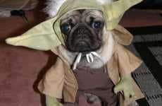 Humiliating Dog-umentaries