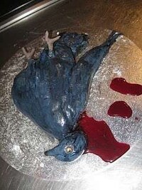 Dead Bird Baking Image 6
