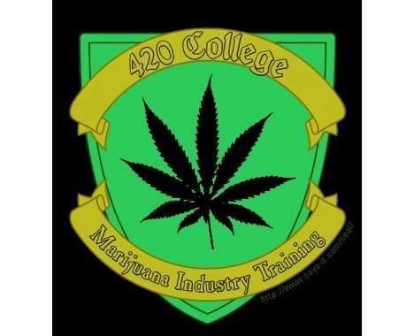 12 Medical Marijuana Features