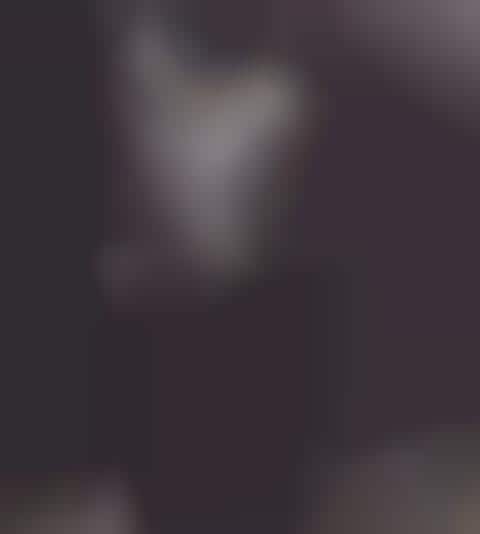 Ugly Ducktography