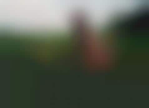 Baby-Terrorizing Photography