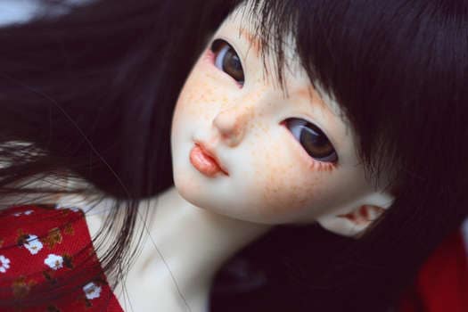 Realist Manga Dolls