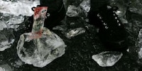 Iced Money Image 2
