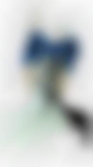 Deliriously Delicate Drawings