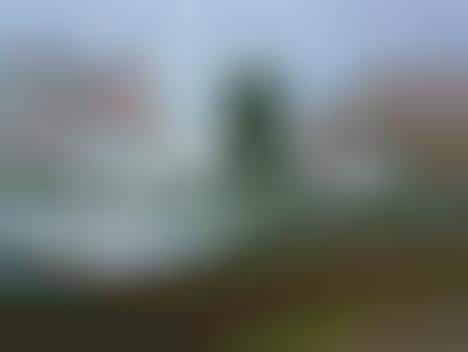 Playful Pacific Northwest Photography